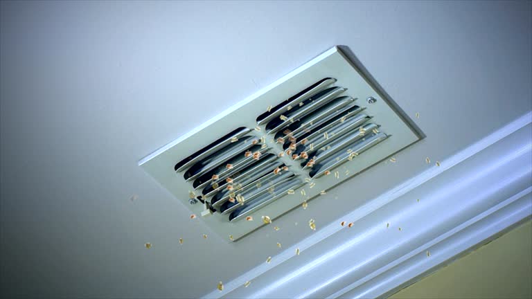 Best Professional Duct Cleaning Services  in Payette, ID