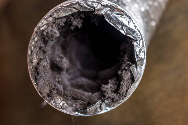 Best HVAC Maintenance and Cleaning  in Payette, ID